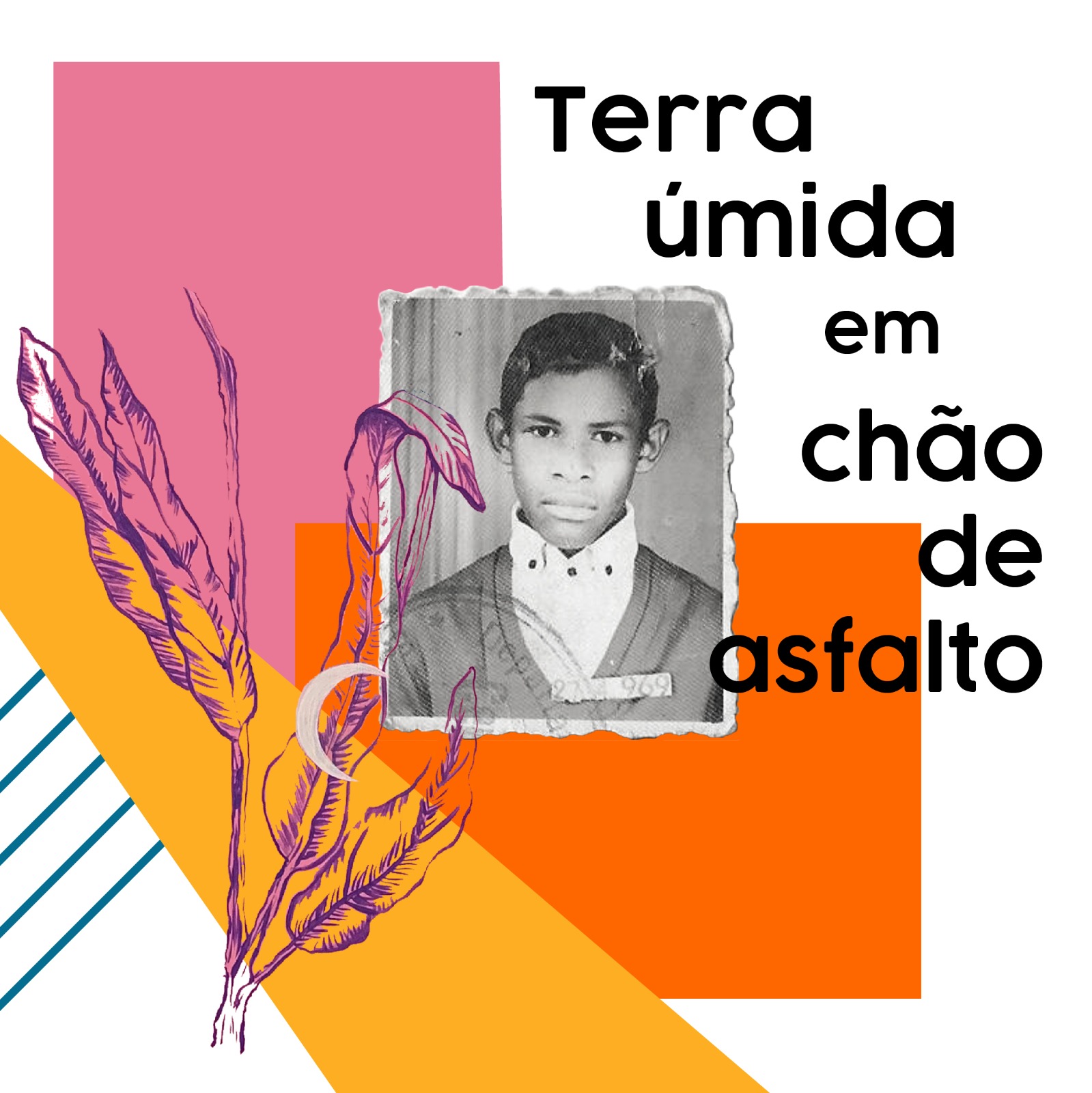 CCMQ apresenta instalação “Terra úmida em chão de asfalto”, dos artistas Luísa Prestes e Wagner Mello no Espaço-Experimento Jardim de inverno